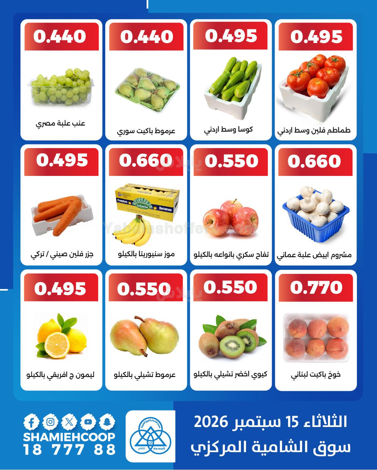 صفحة 3