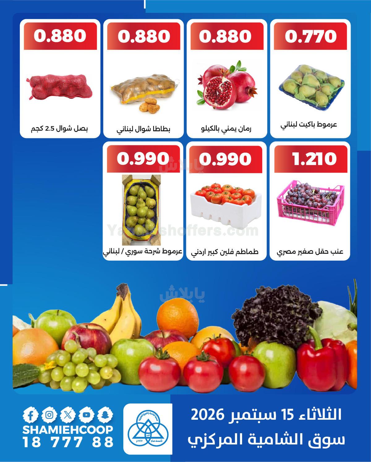 صفحة 4