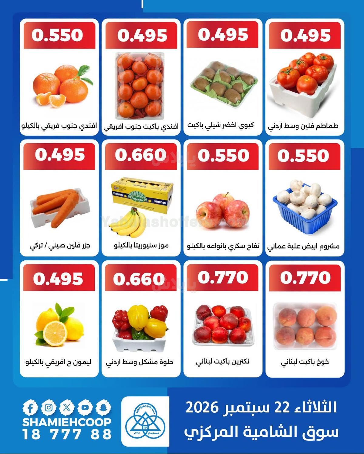 صفحة 3