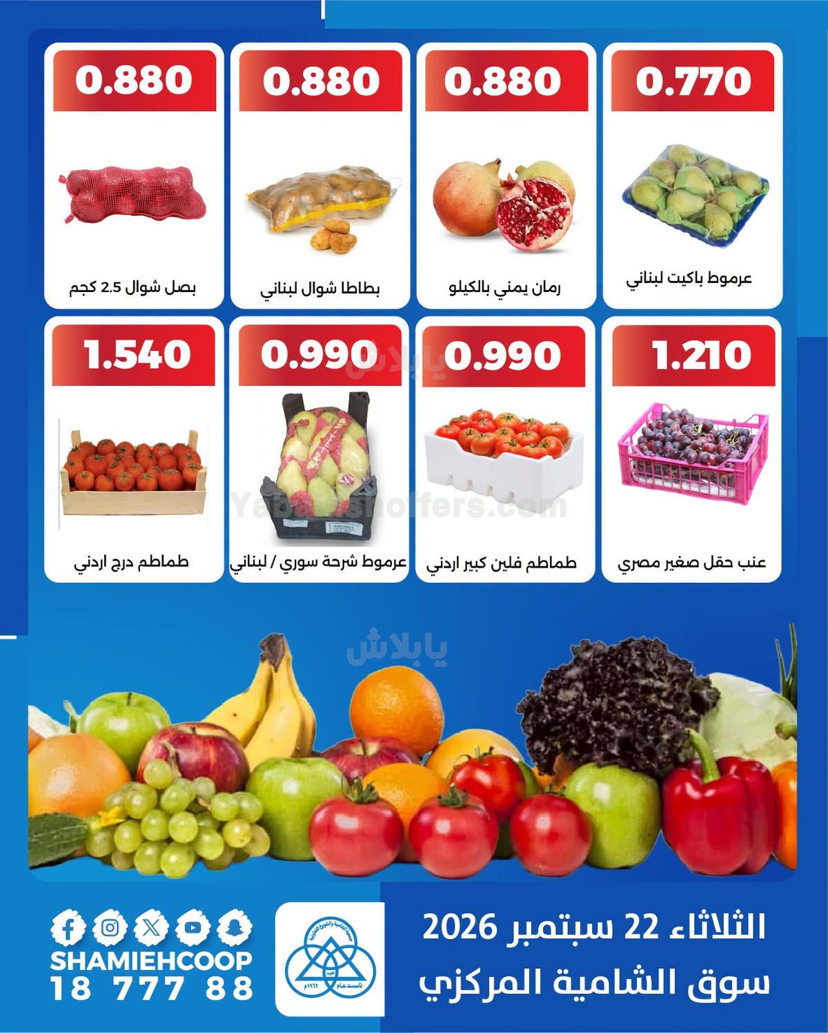 صفحة 4