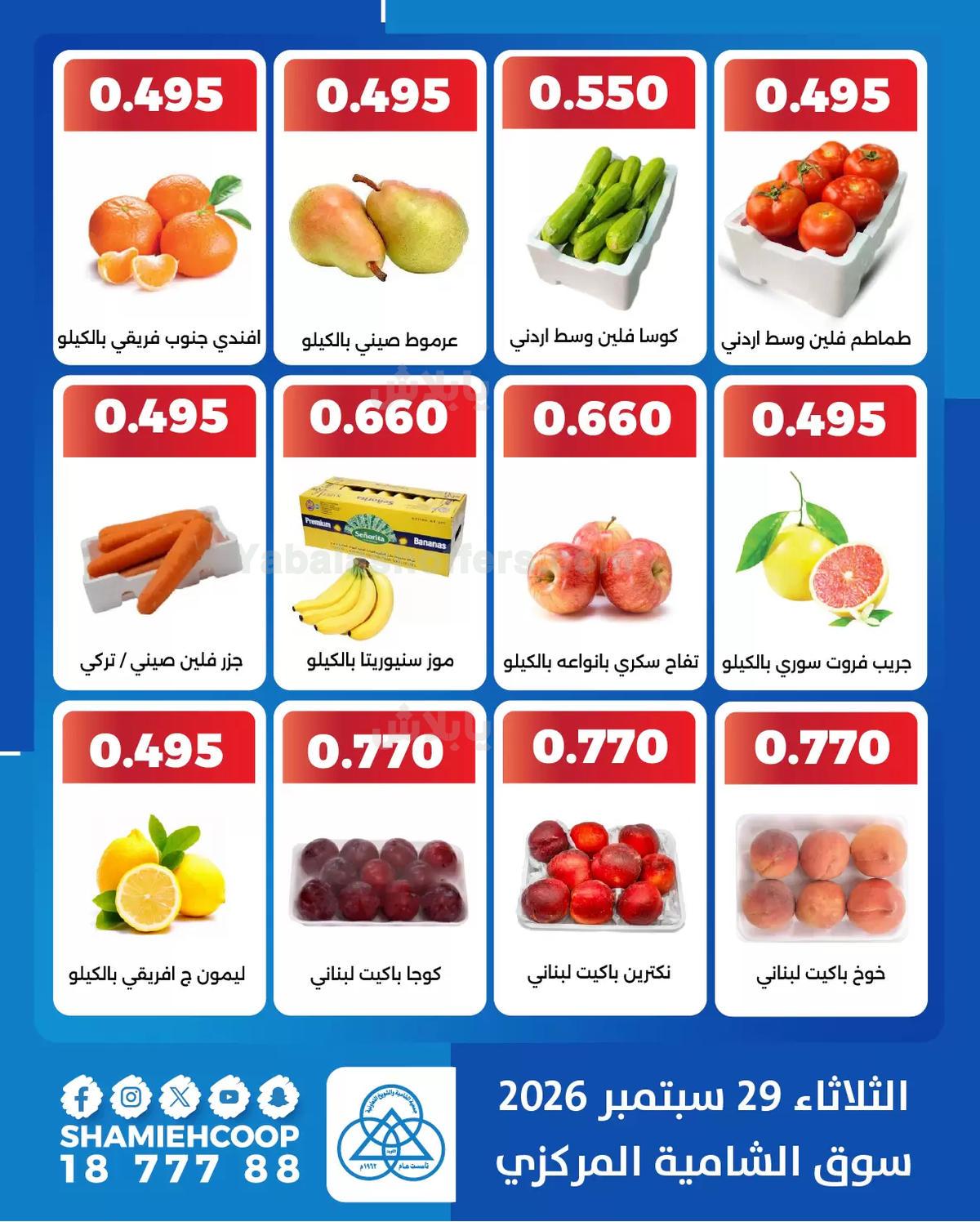 صفحة 3