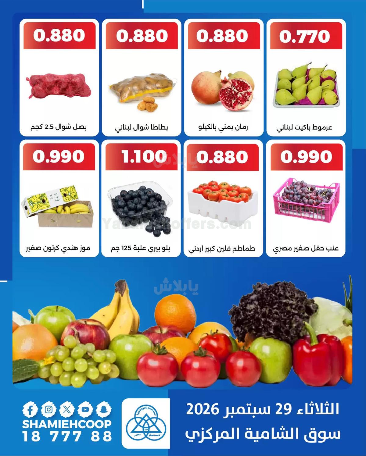 صفحة 4
