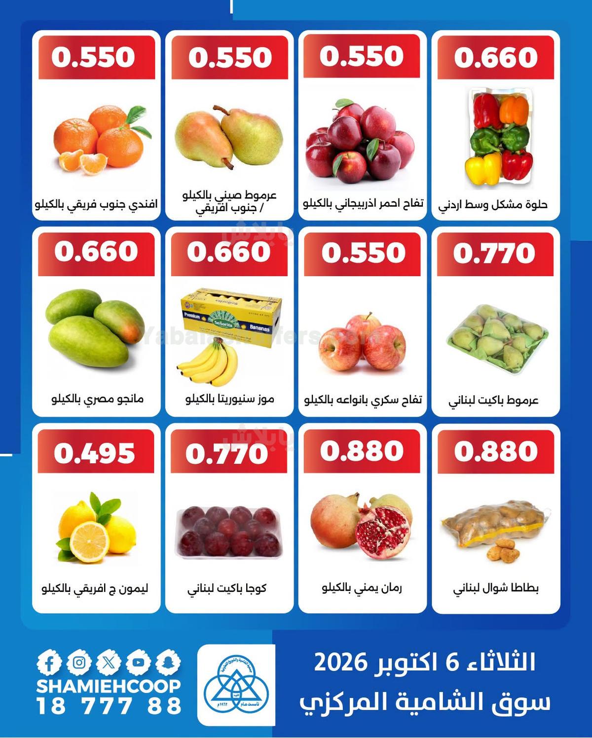 صفحة 2