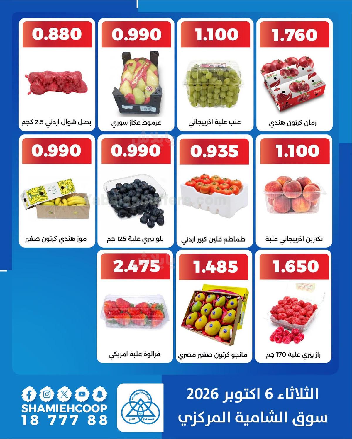 صفحة 4