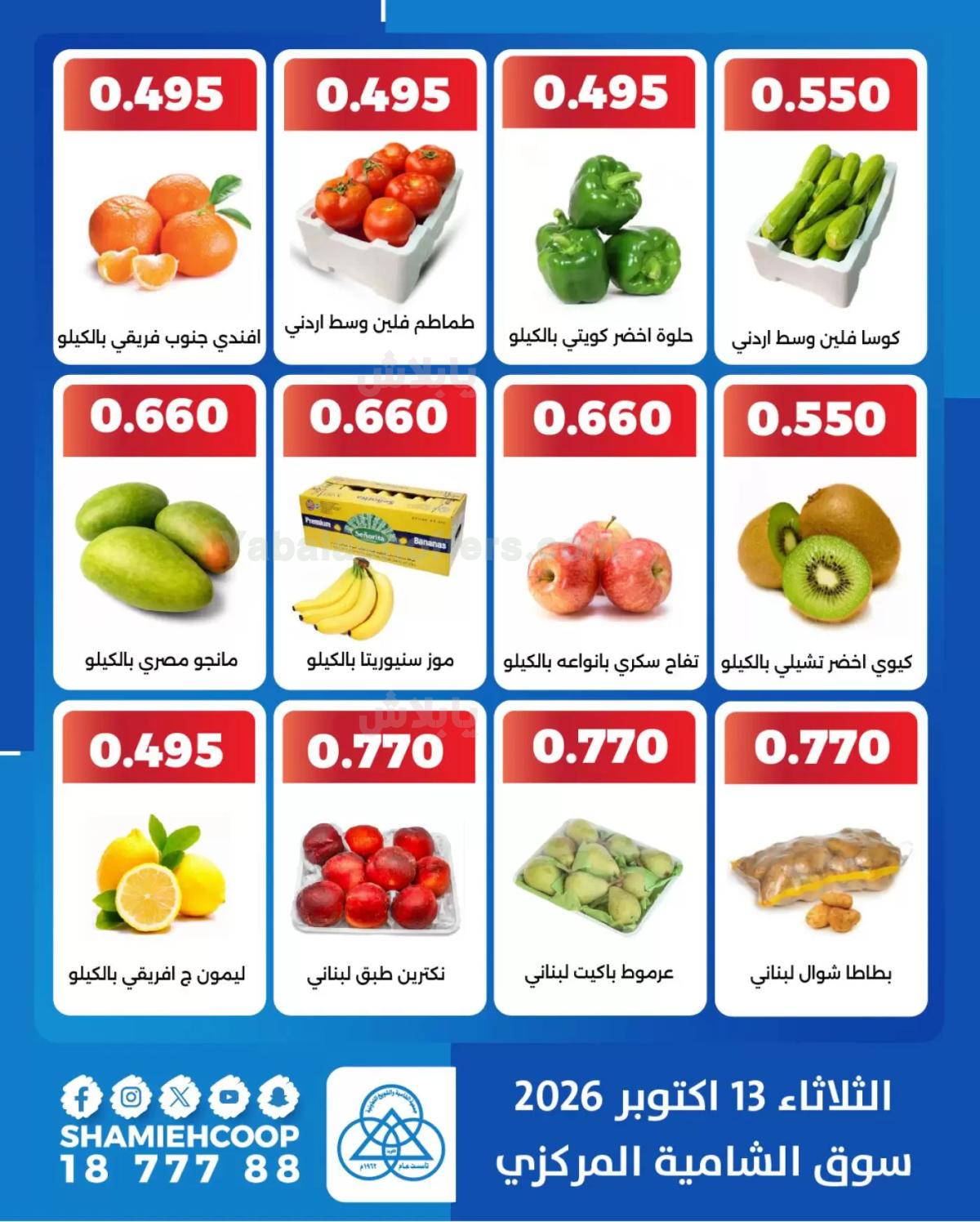 صفحة 3