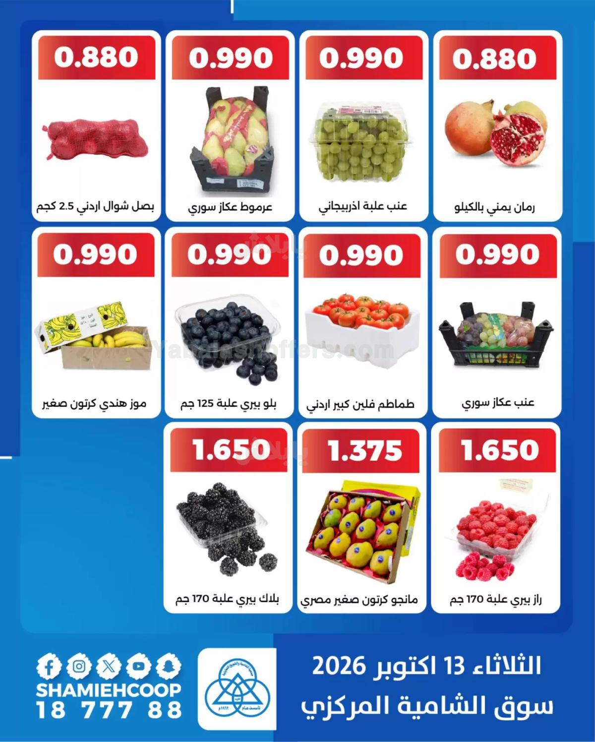 صفحة 4