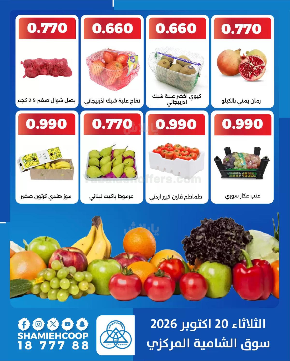 صفحة 4
