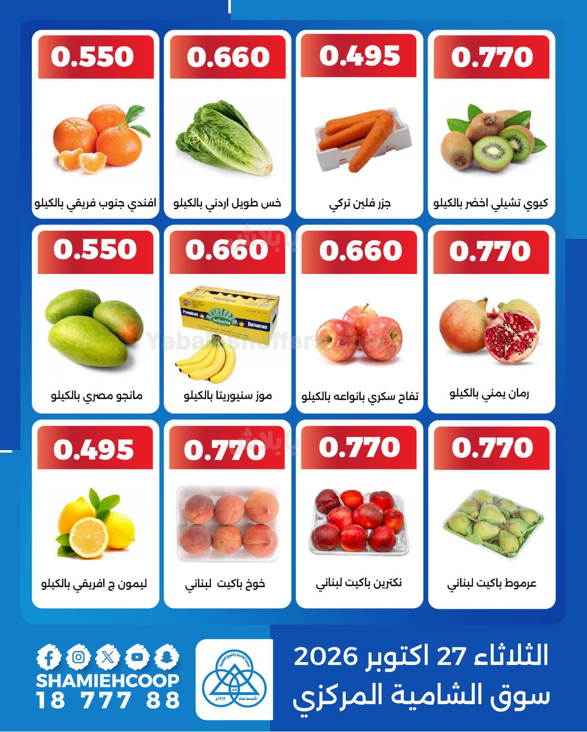 صفحة 3