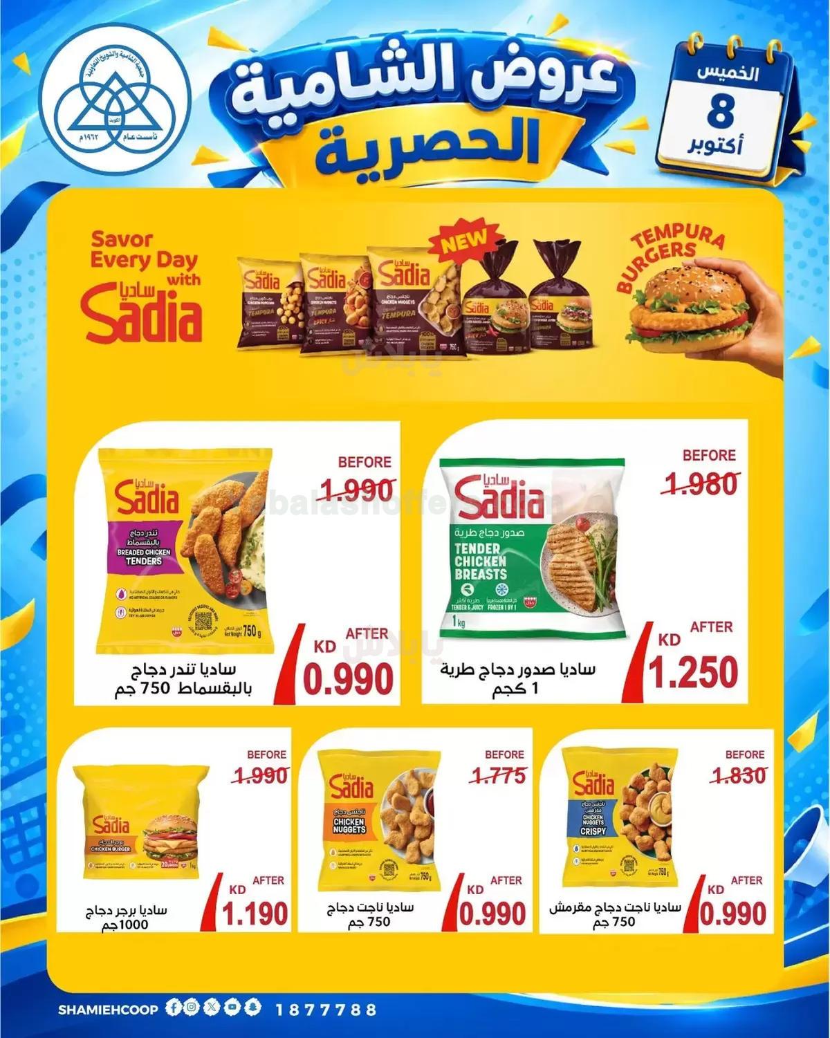 صفحة 3