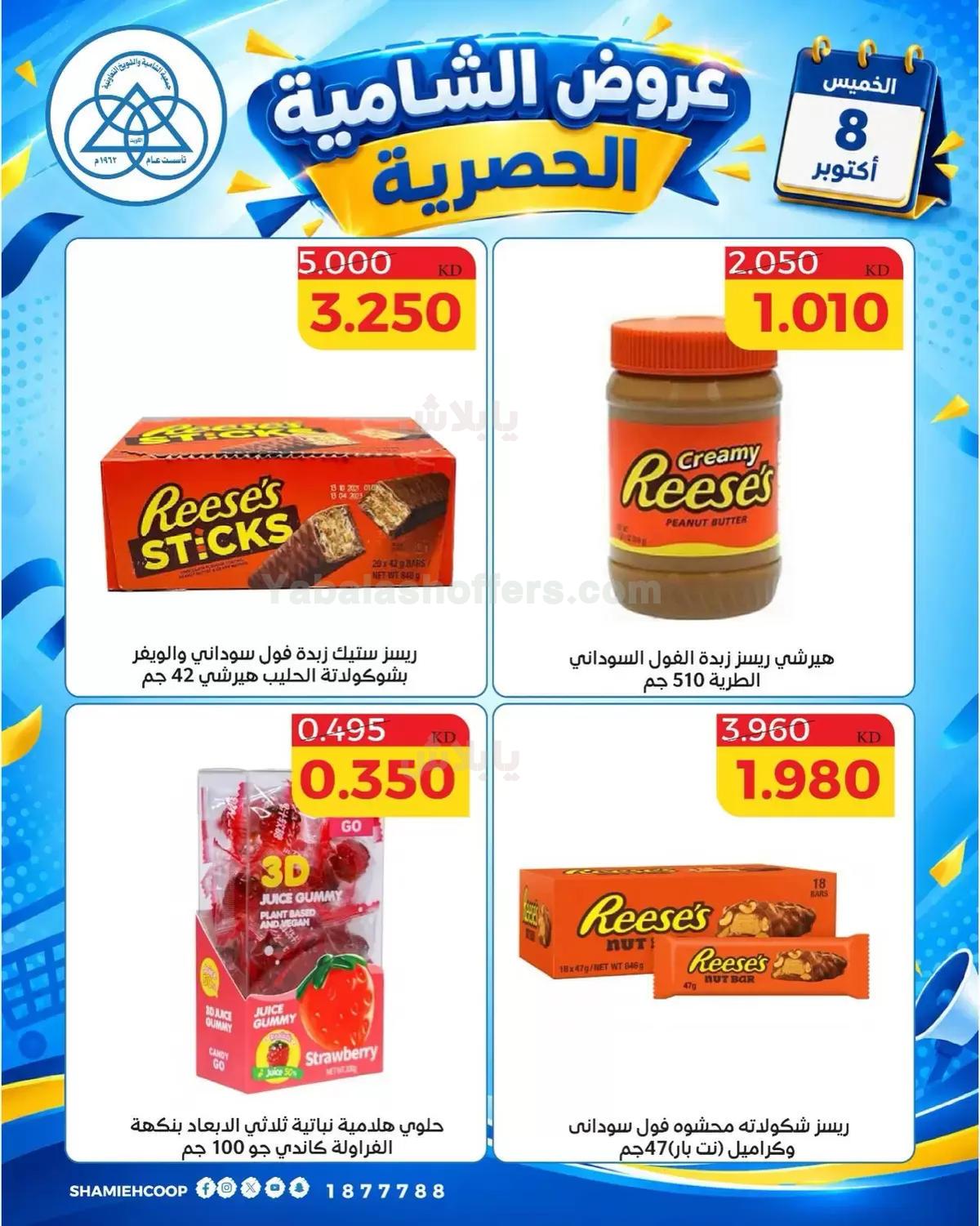 صفحة 7
