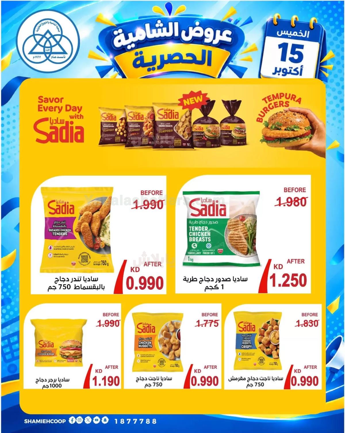 صفحة 2
