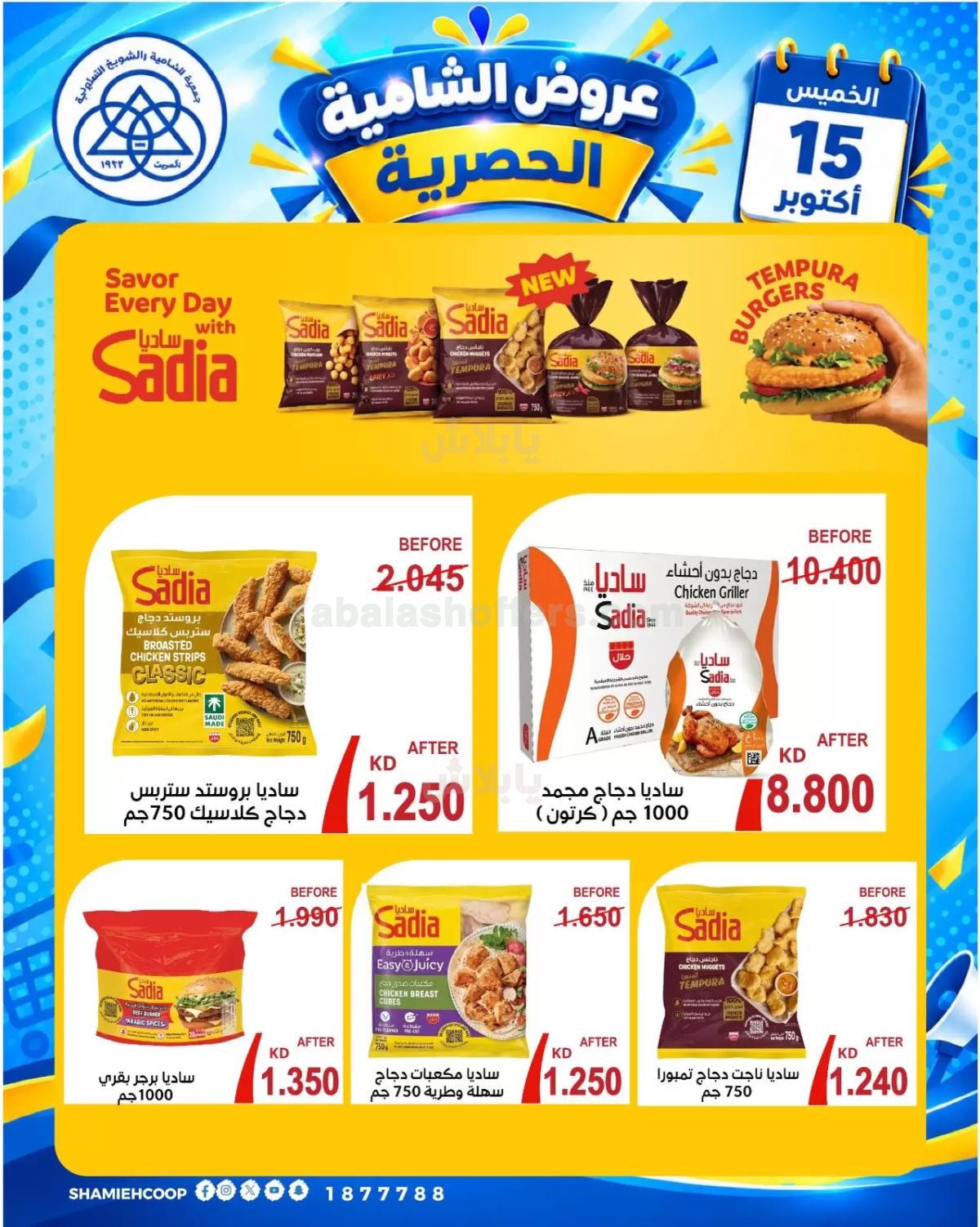 صفحة 3