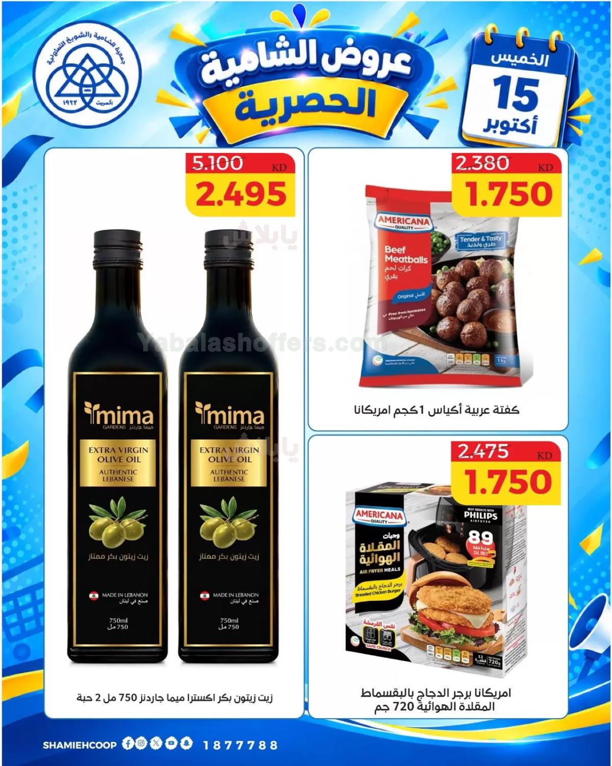 صفحة 4