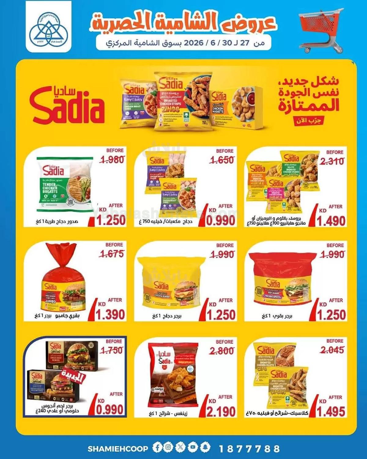 صفحة 4