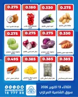 صفحة 7