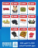 صفحة 8