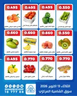 صفحة 9