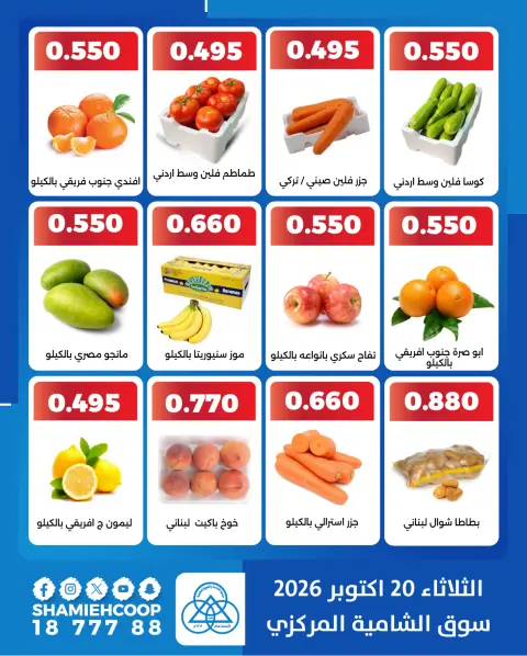 صفحة 3