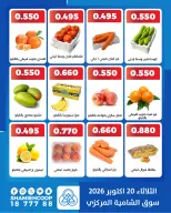 صفحة 7