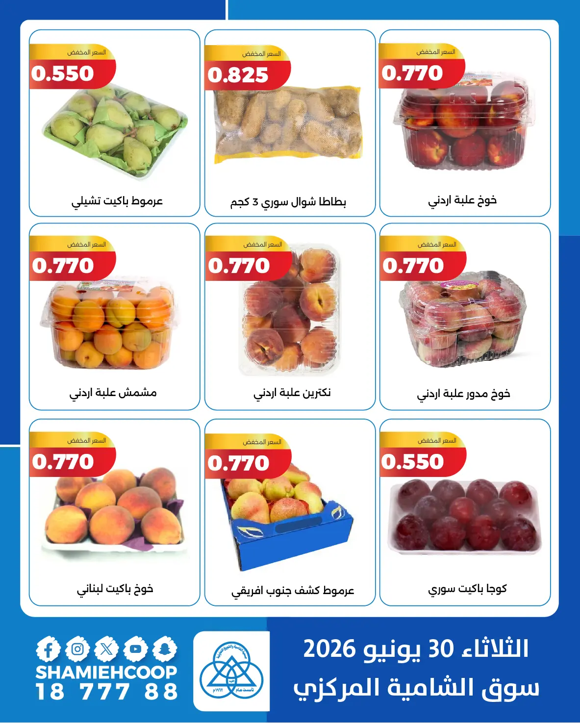صفحة 3