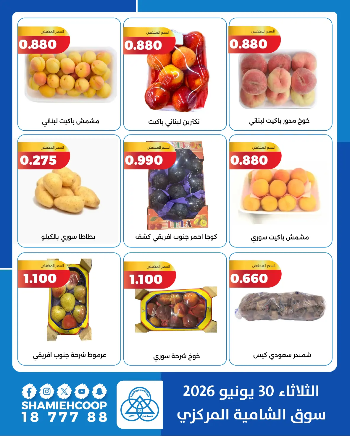 صفحة 4