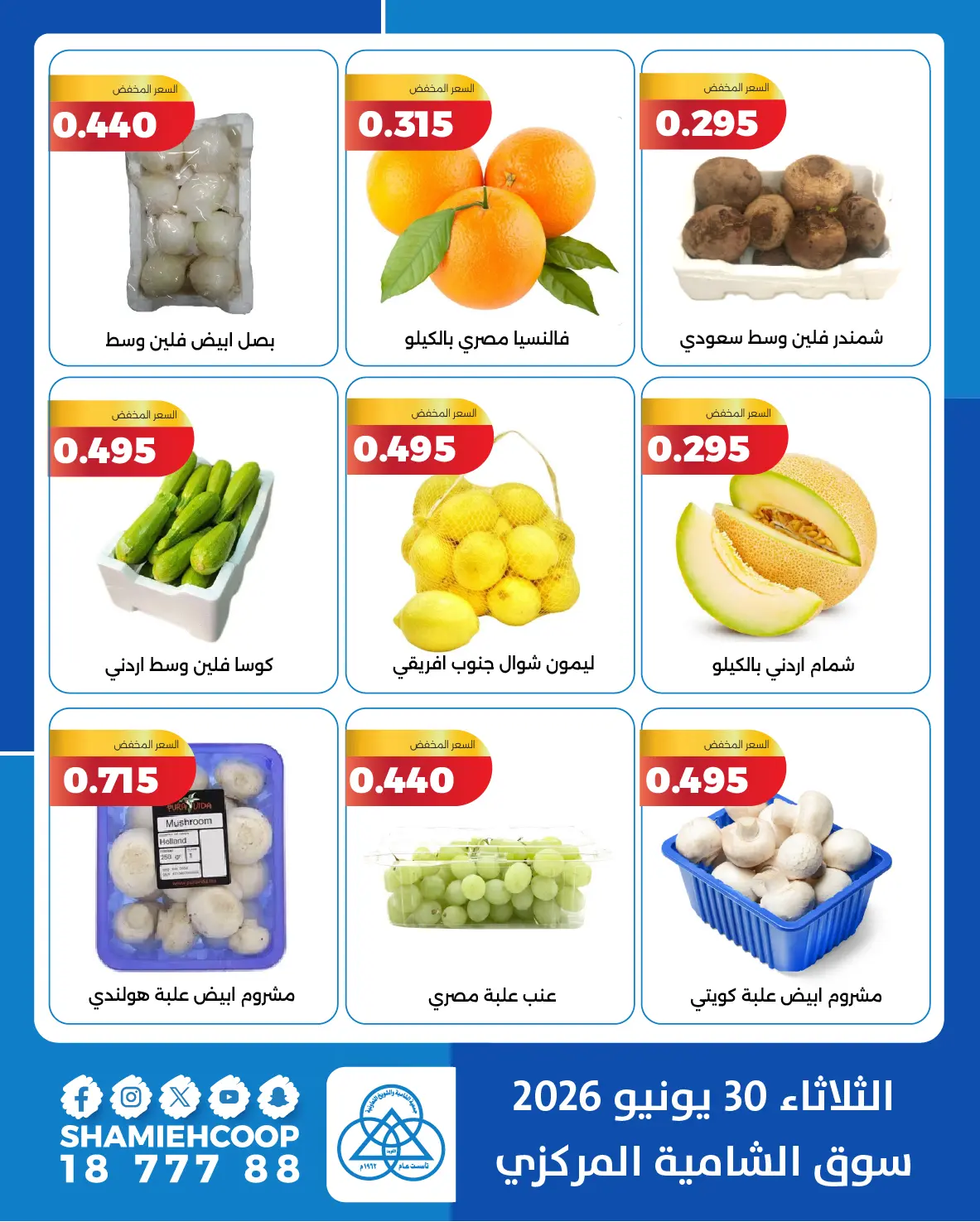 صفحة 5