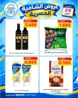 صفحة 14