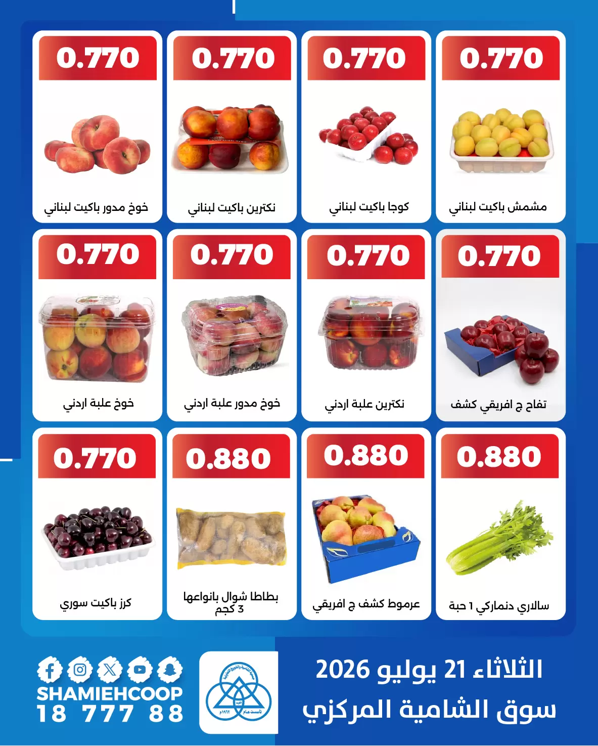 صفحة 3