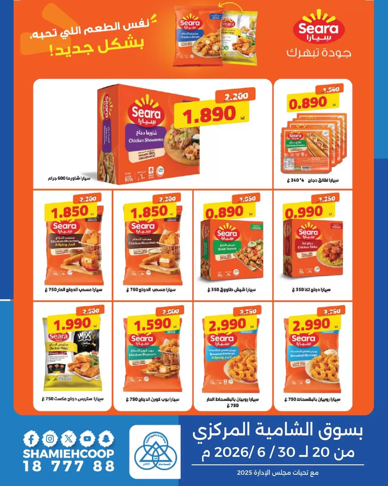 صفحة 4