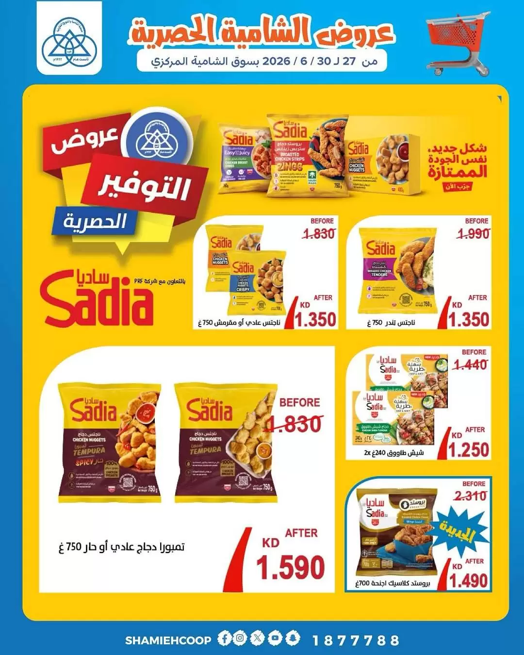 صفحة 3