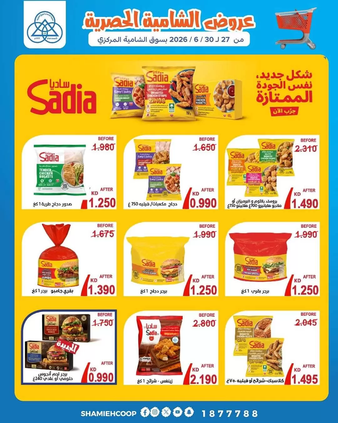 صفحة 4