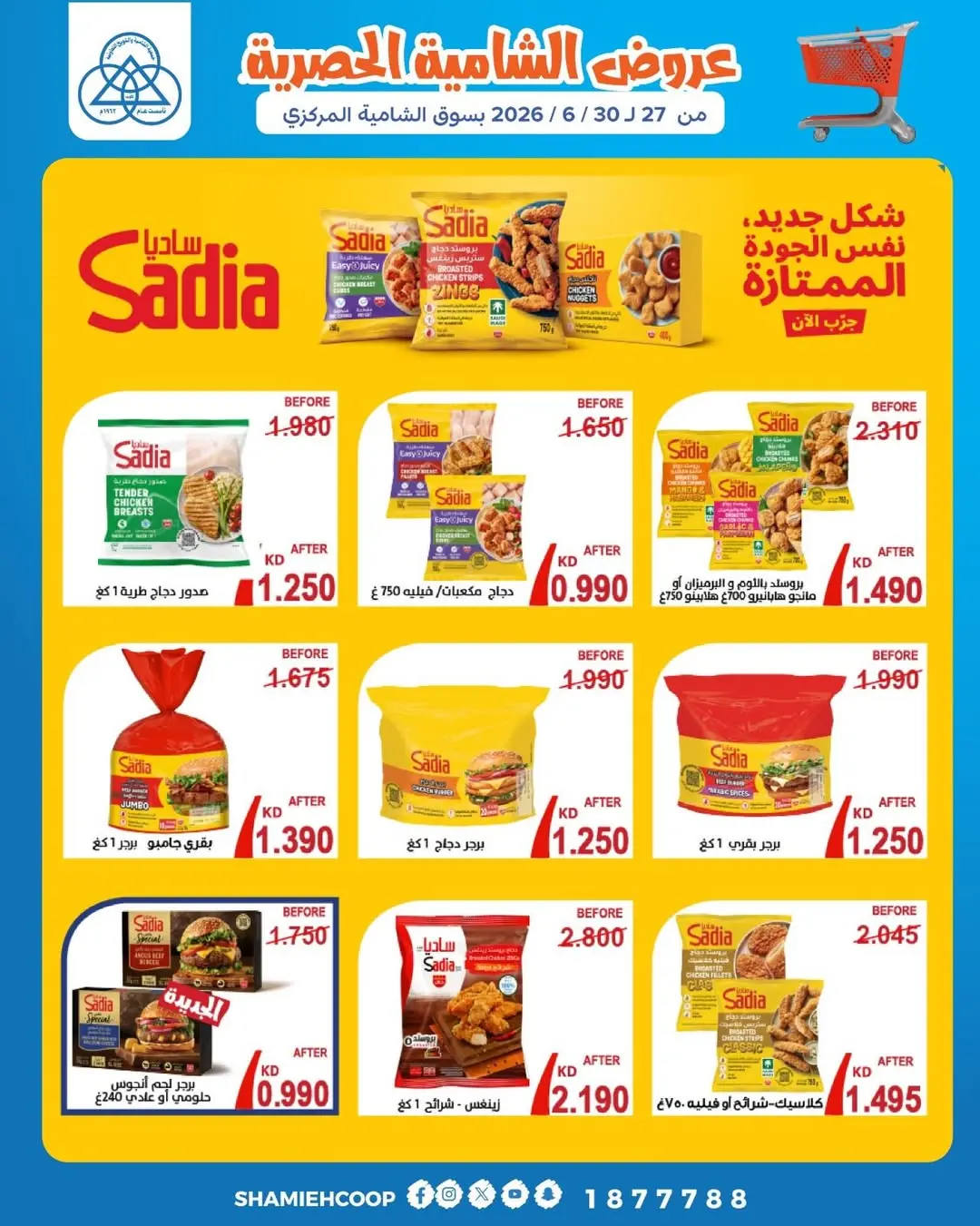 صفحة 8