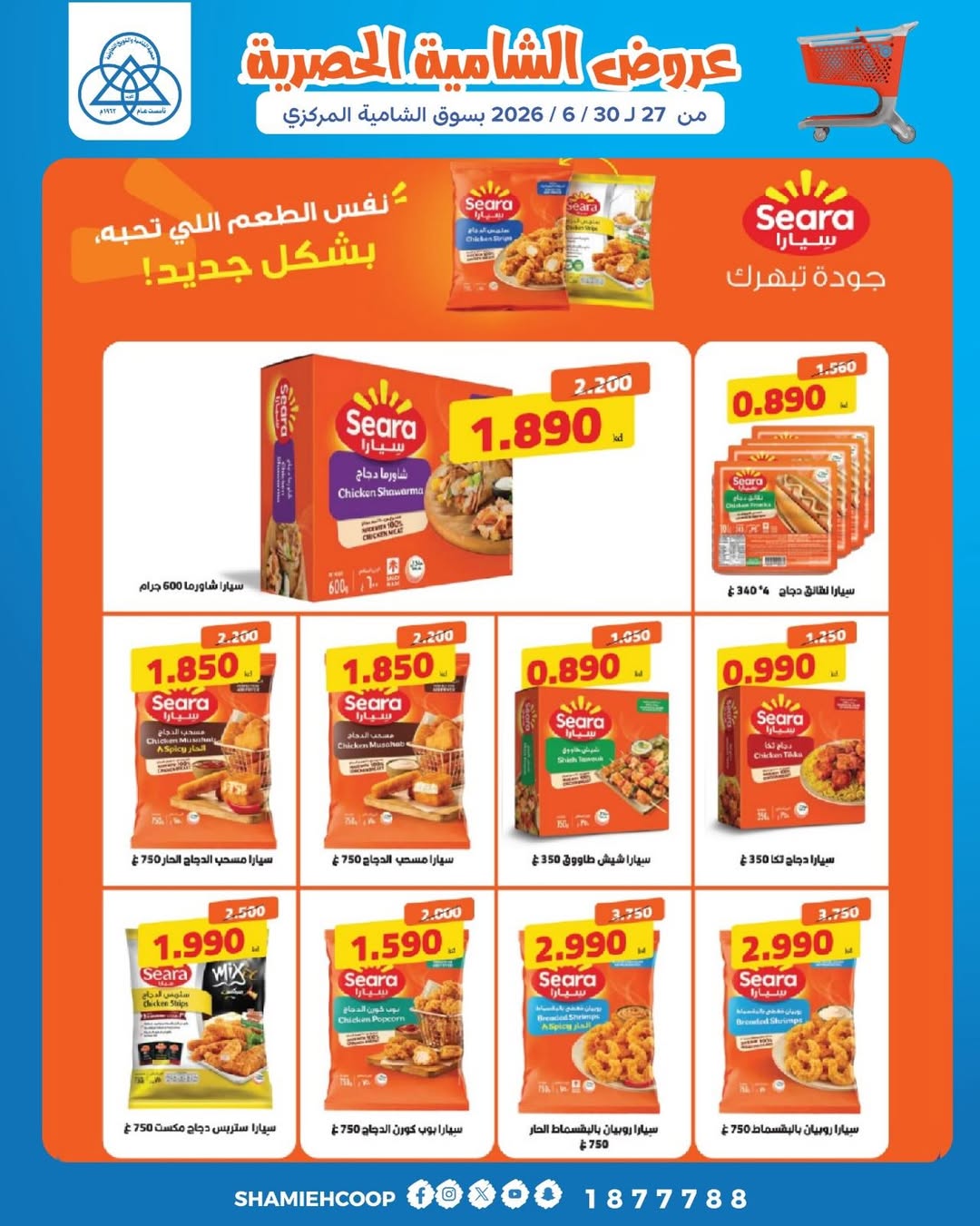 صفحة 17