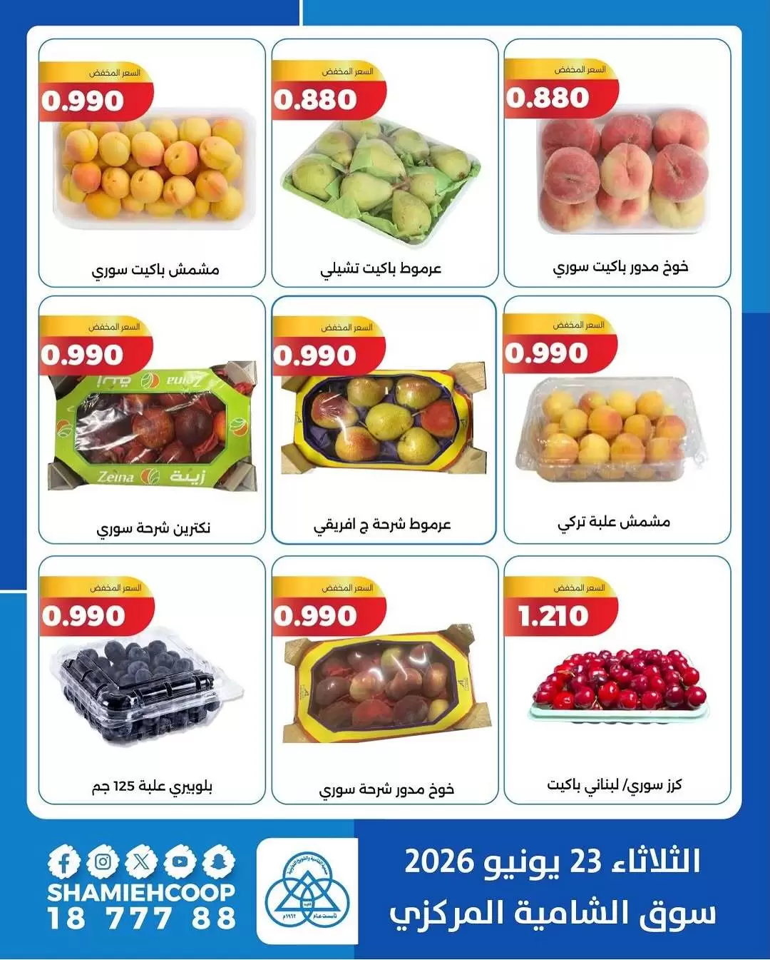 صفحة 4