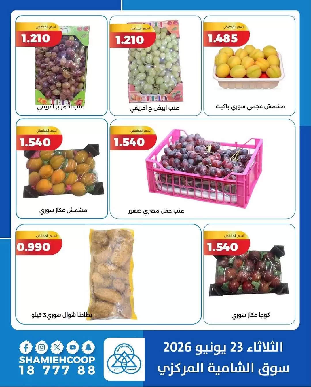 صفحة 5