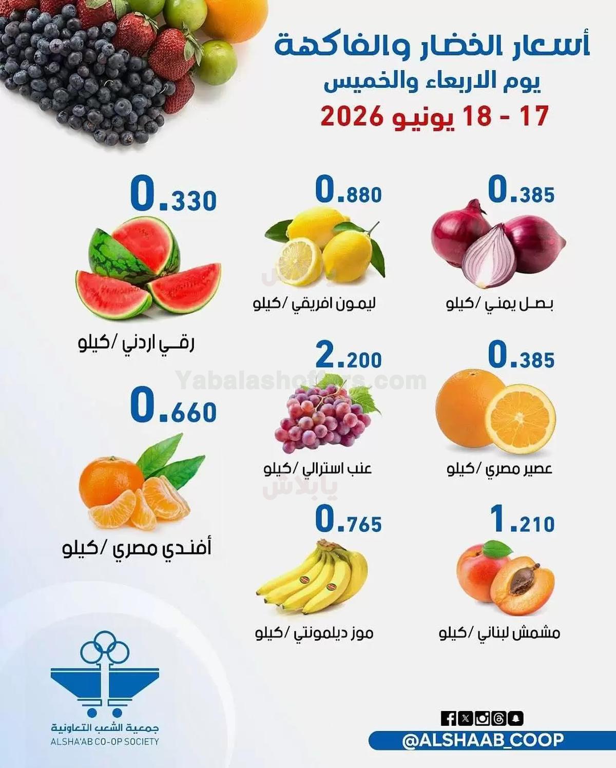 صفحة 2