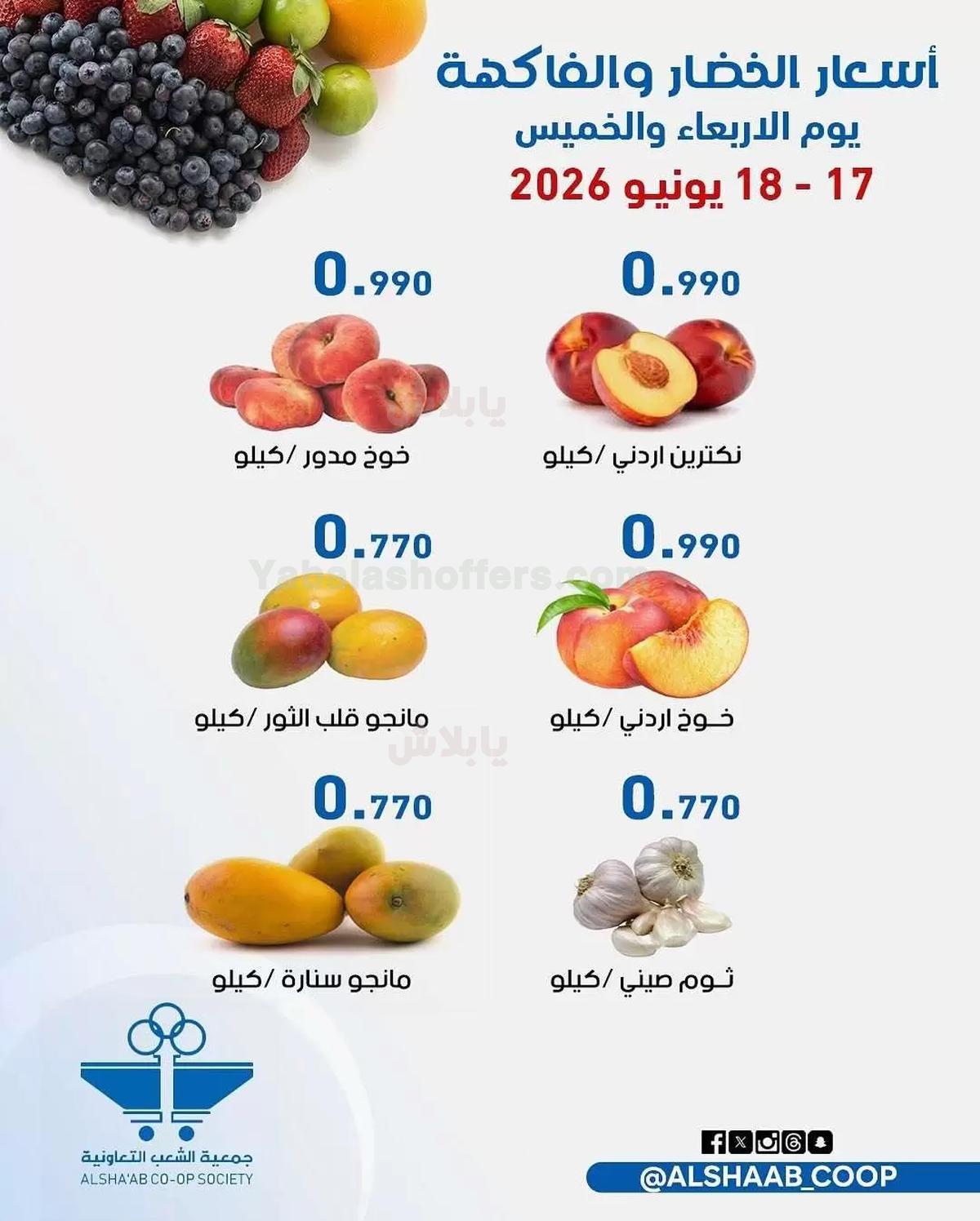 صفحة 3