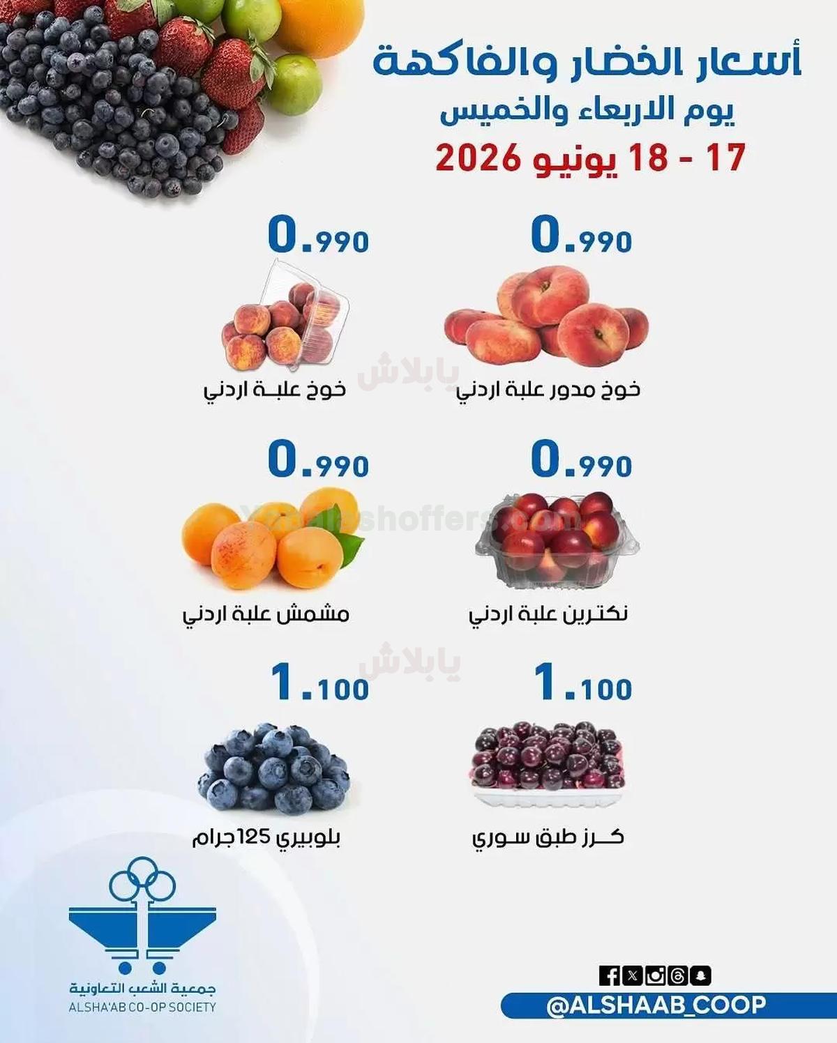 صفحة 4
