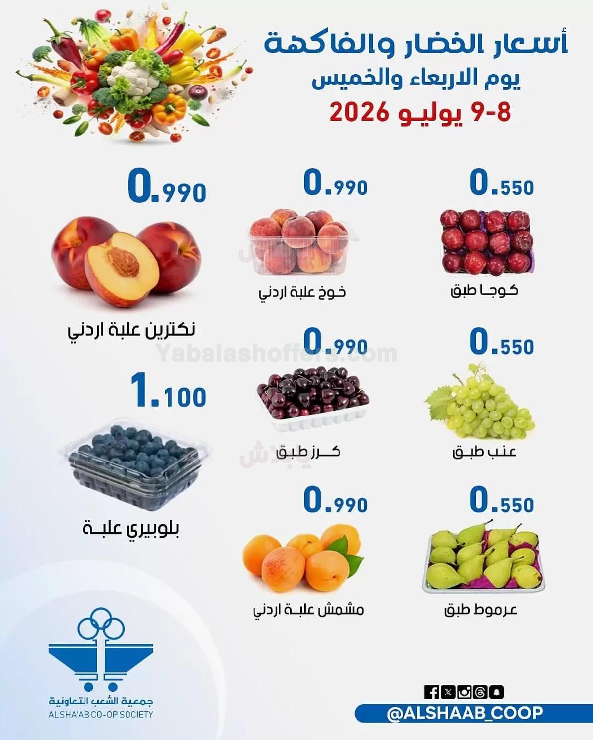 صفحة 4