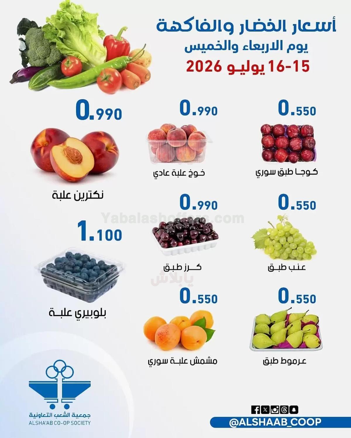 صفحة 4