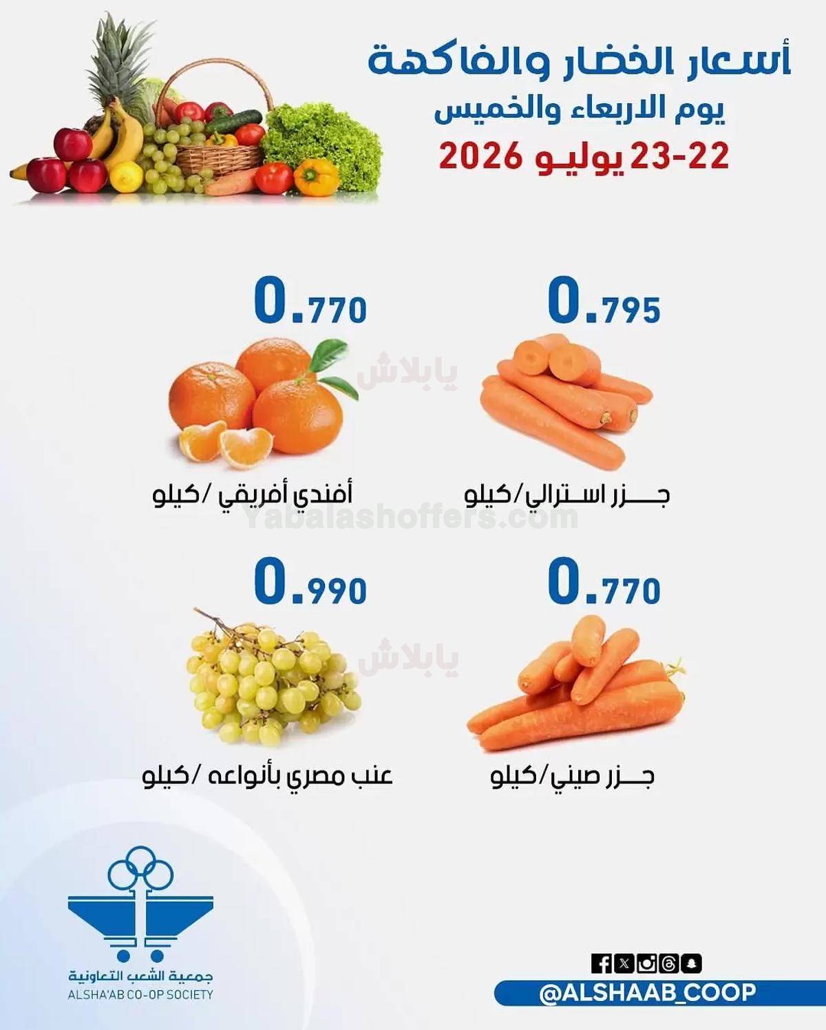 صفحة 3