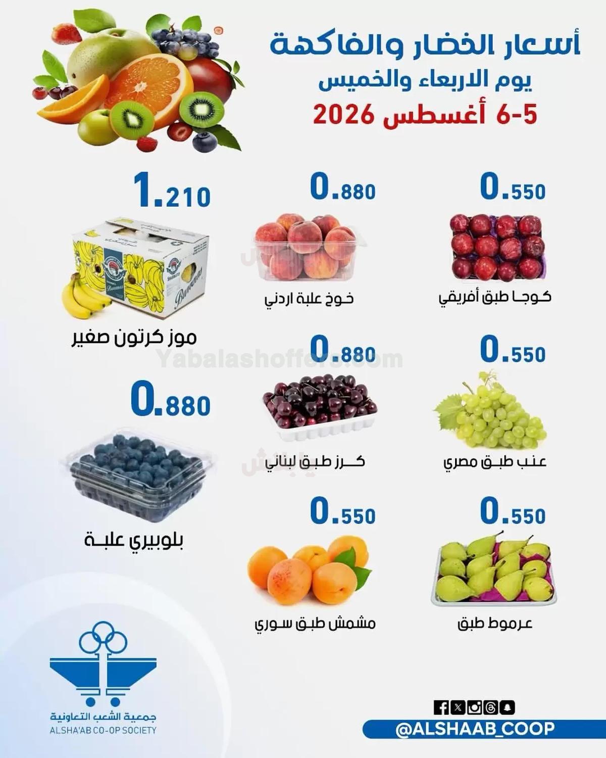 صفحة 4