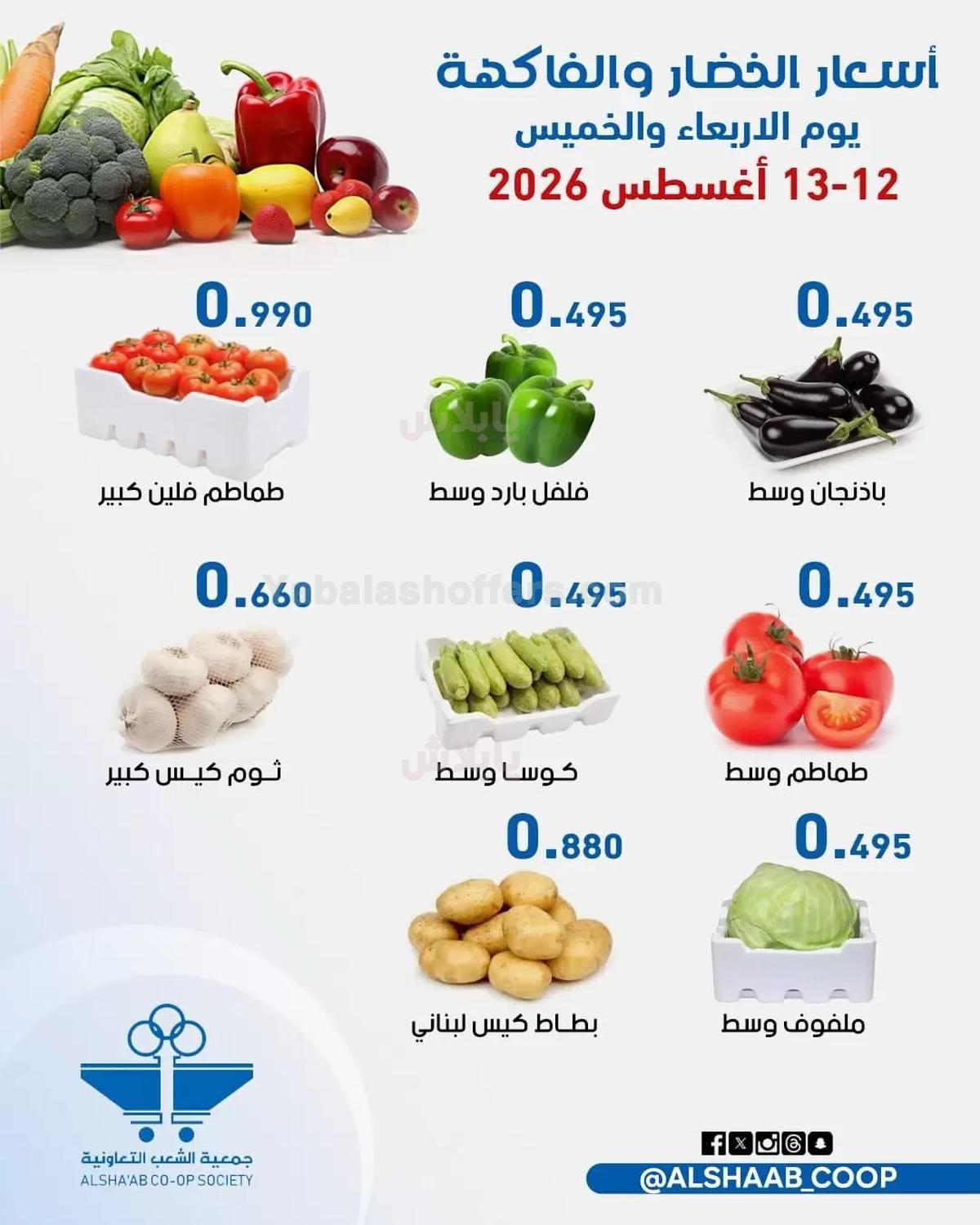 صفحة 4
