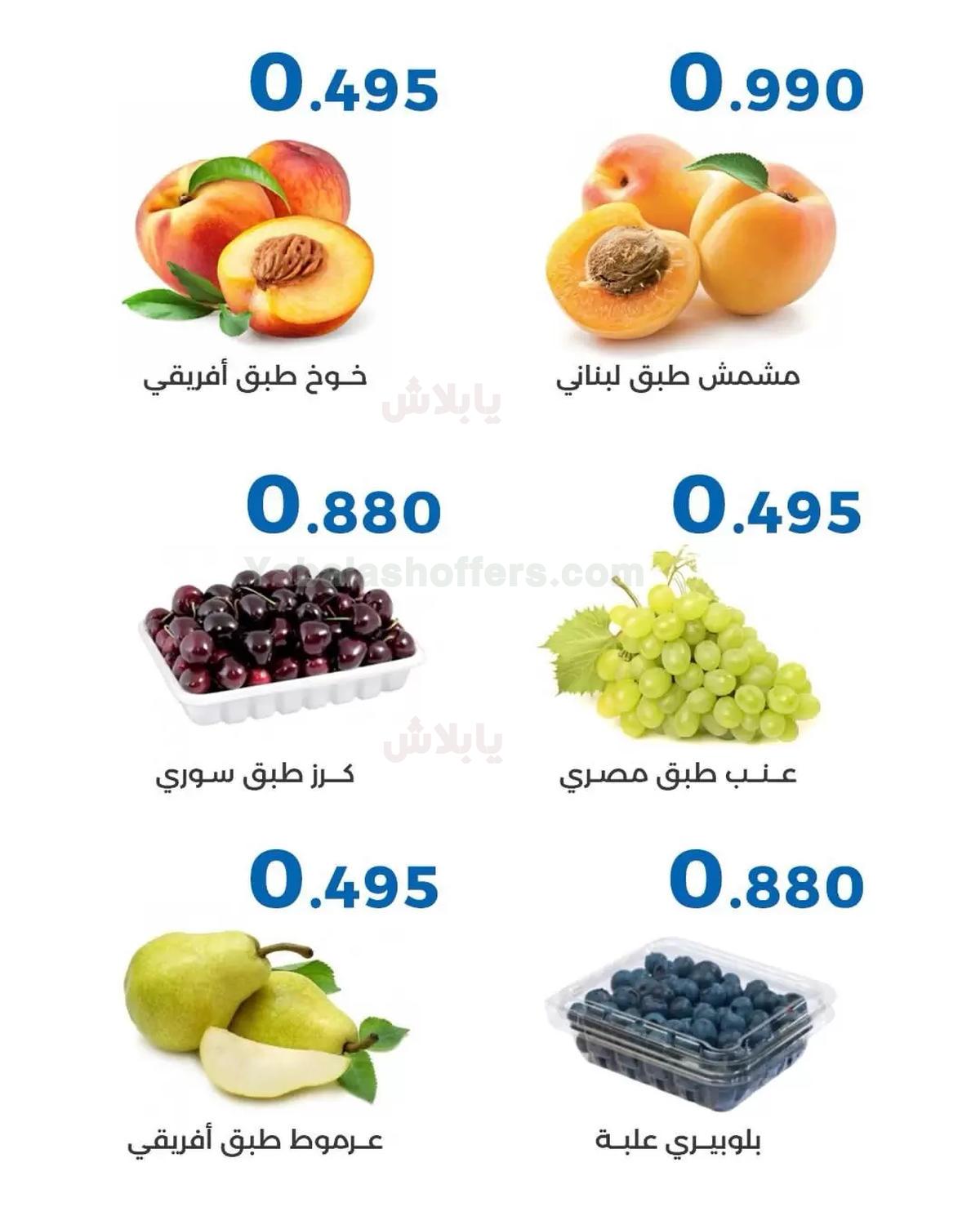 صفحة 3