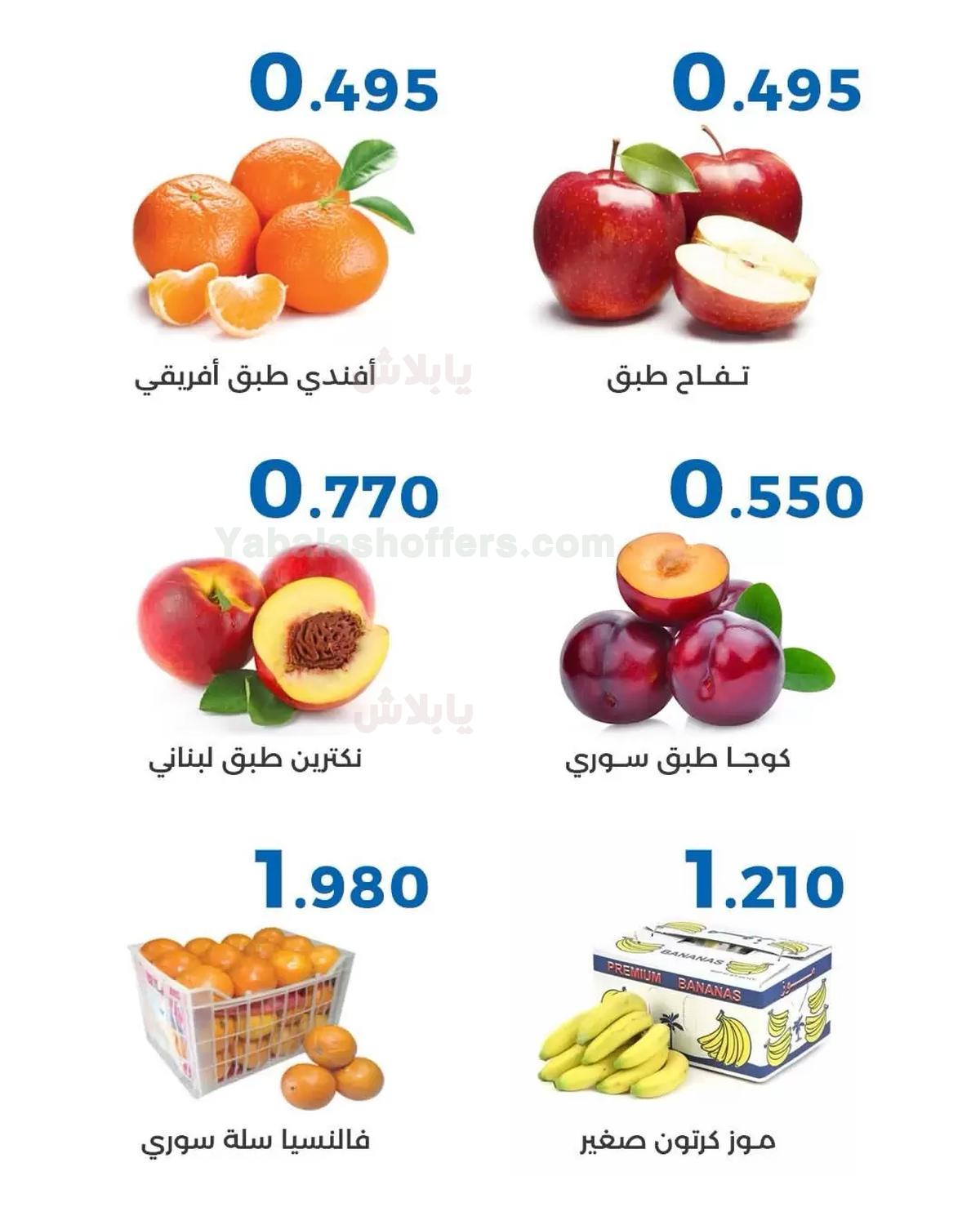 صفحة 4