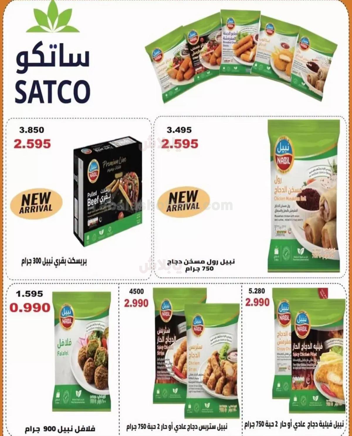 صفحة 2