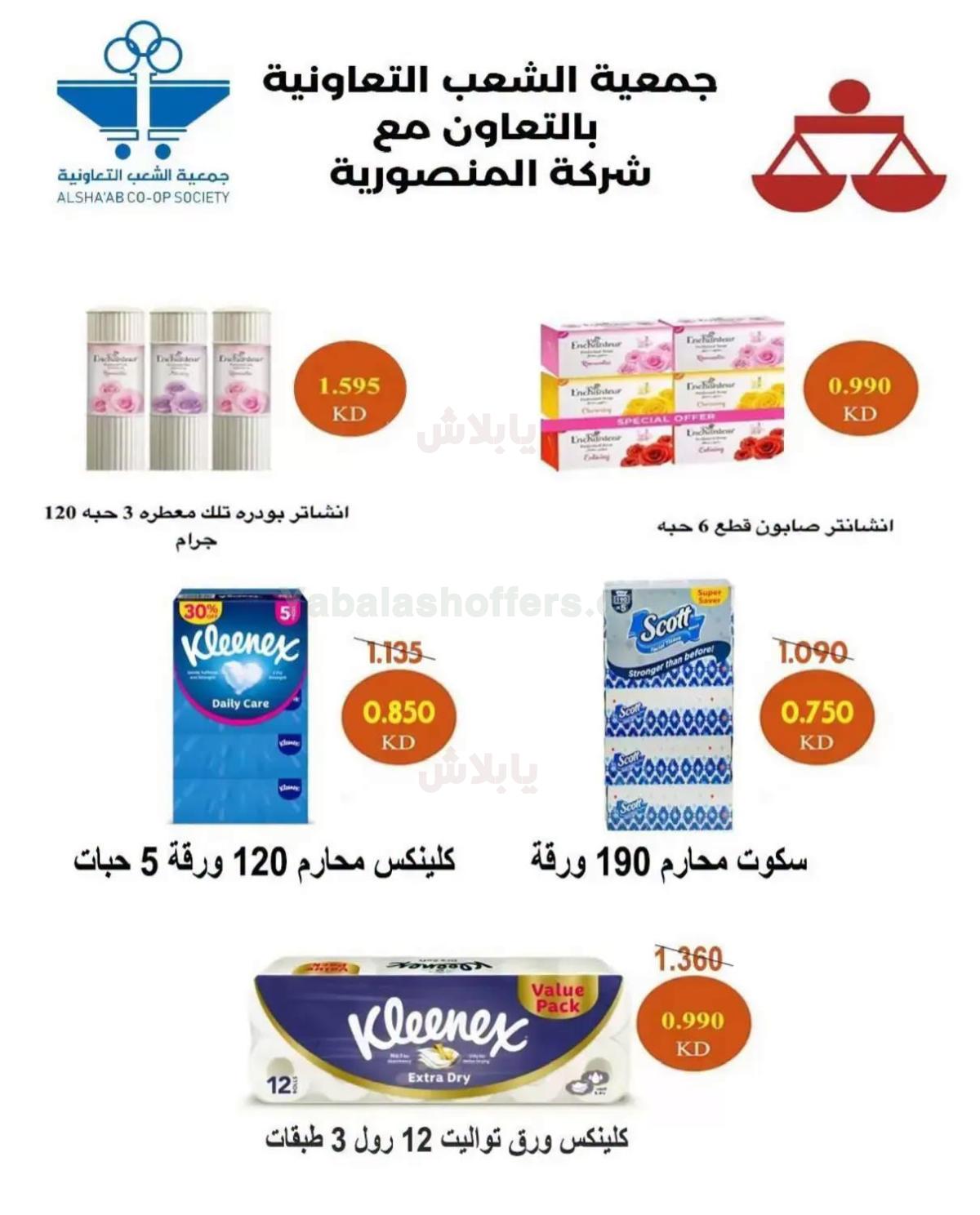 صفحة 13