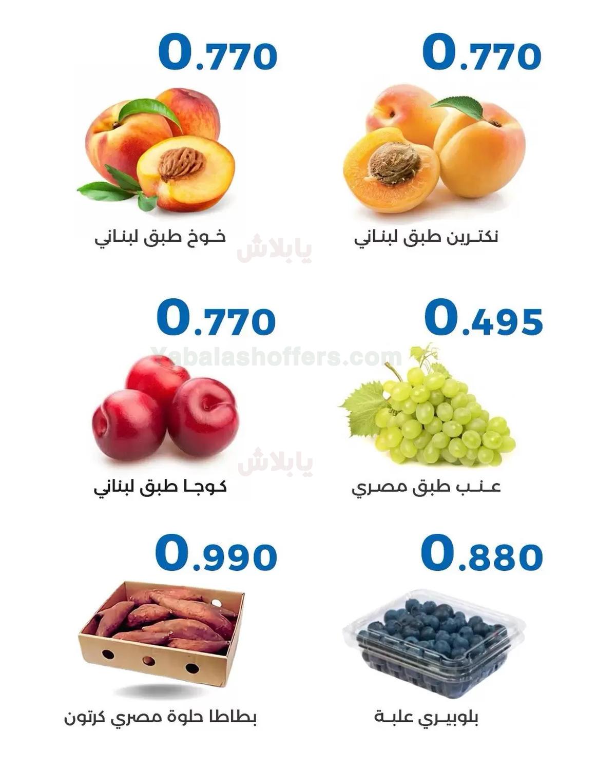 صفحة 3