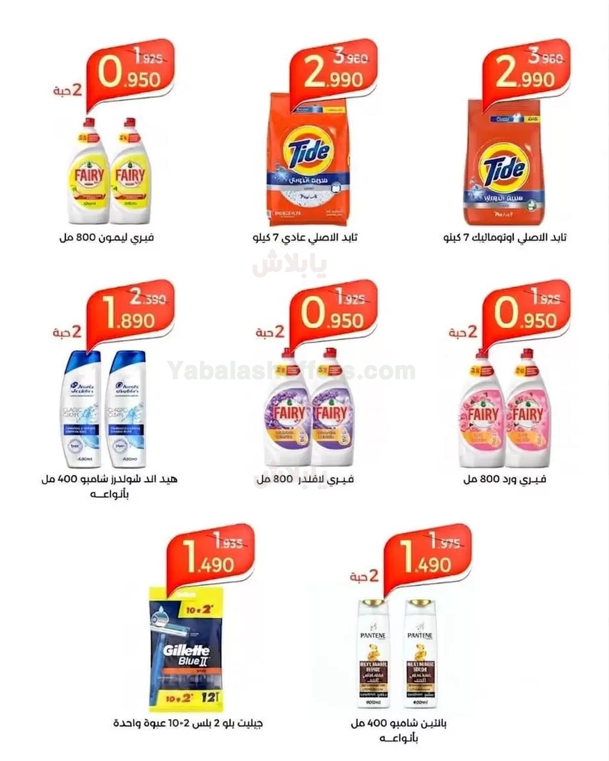 صفحة 12