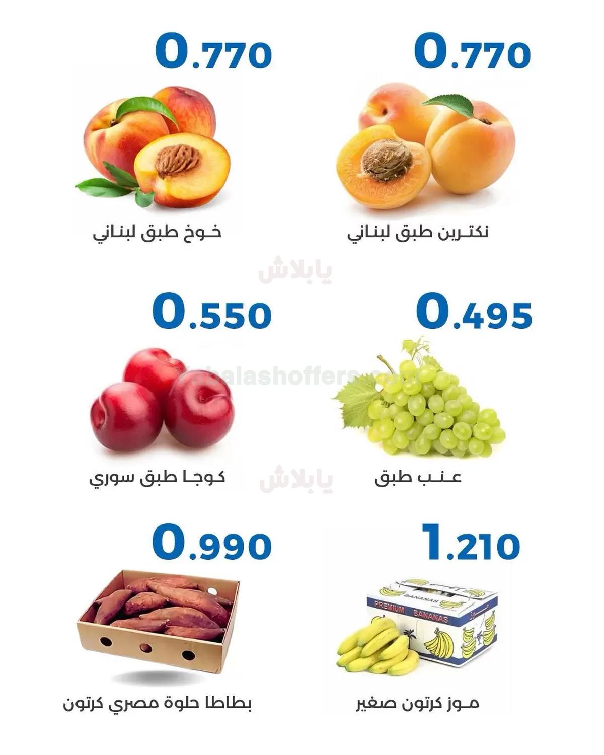 صفحة 3
